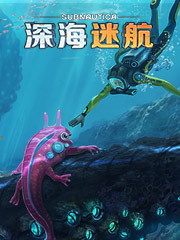 什么网购物便宜又是正品